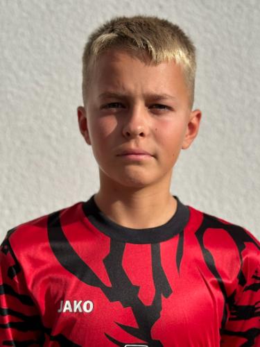 Niklas Schesler