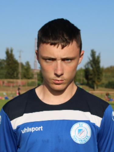 Toni Erik Koplin