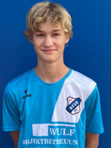 Henri Leonas Weseloh