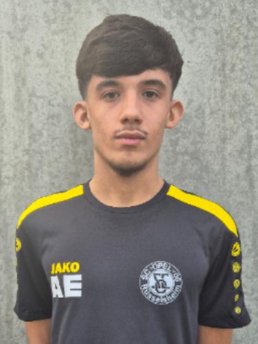 Ali El Fanoui