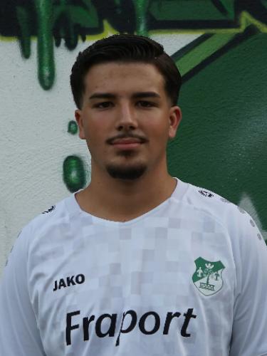 Luka Aleksandar Icevic