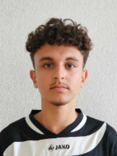 Emre Ari