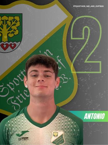 Antonio Castillo Pena