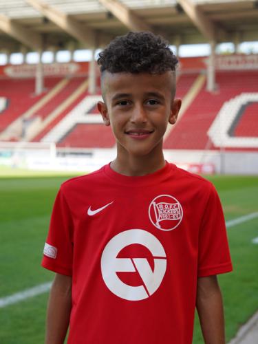 Harun Mirhan Arik