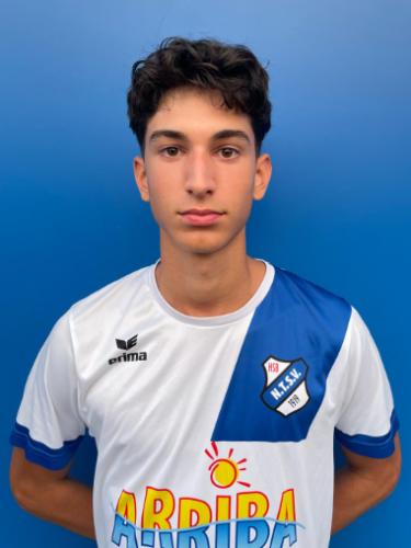 Ege Terzi