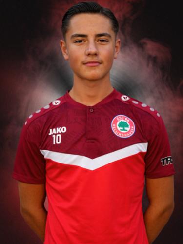 Mijo Brnos