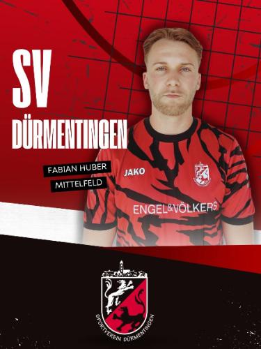 Fabian Huber