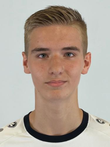 Nico Potjans