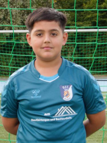 Ammar Berisa
