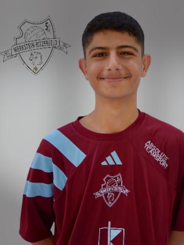 Ali Alchikh
