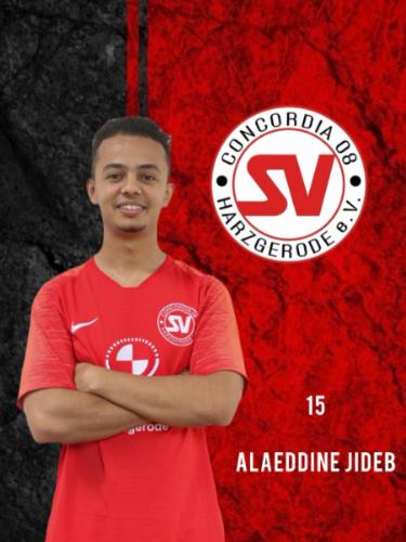 JIDEB ALAEDDINE