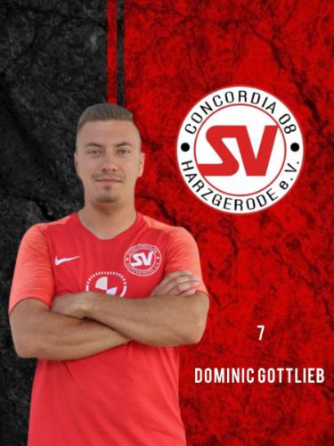 Dominic Gottlieb
