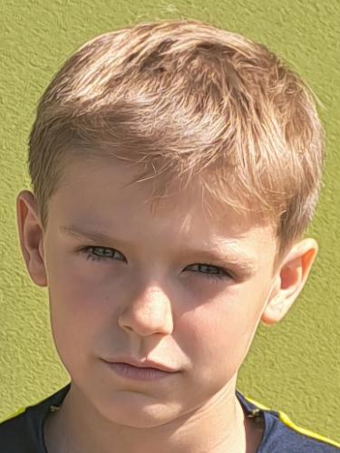 Fridtjof Mika Laubner