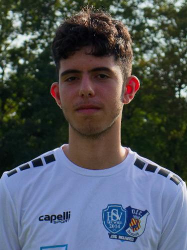 Emre Aydin