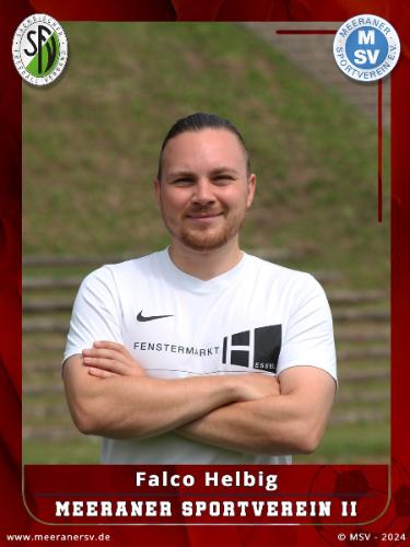 Falco Helbig