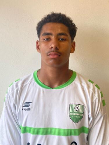 Faries-Taylor Sichermann