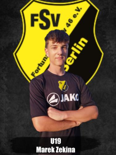 Marek Zekina