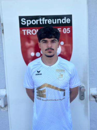 Ali Nashwan Mohie Aldin