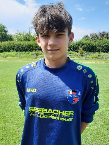 Henry Wilhelm Reichenbach