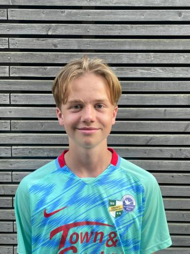 Theo Heinke