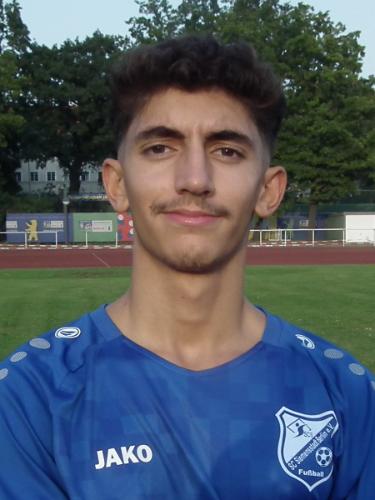 Seyed Shahin Pedramfar