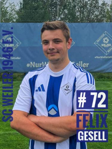 Felix Gesell