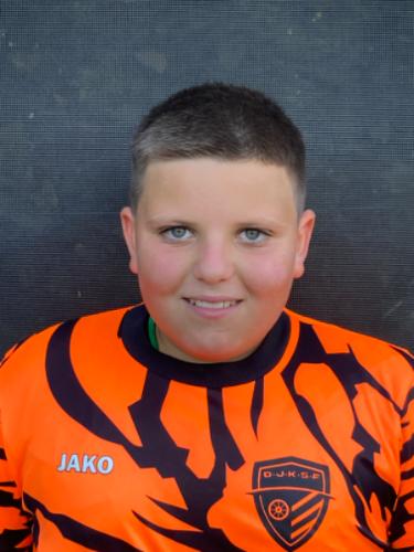 Luis-Vitor Fernandes De Almeida