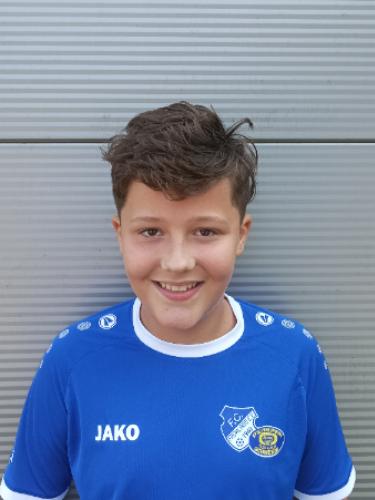 Dinel Hajdarpasic