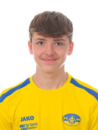Tamilo Grün
