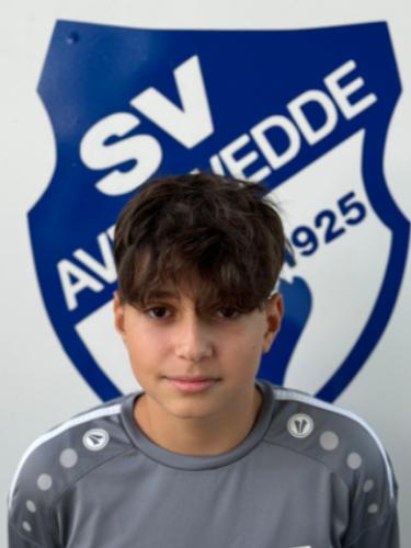 Adnan Mandalovic