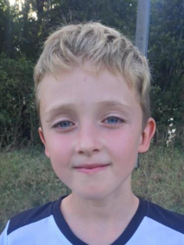 Theo Harald Lamberts