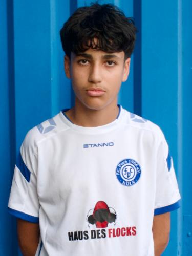 Arian Assadpour Zamharir