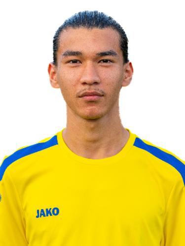 Hamed Ahmadi