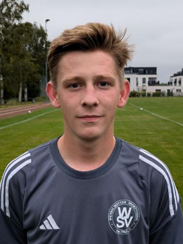 Marlon Wenzel