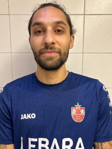 Stanko Mihajlovic
