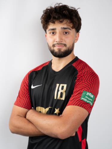 Farzad Alizadeh