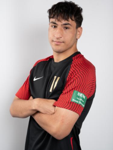 Emre Erol