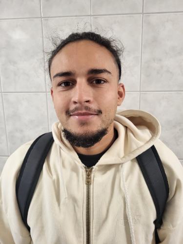Sufian-Enis Vesal