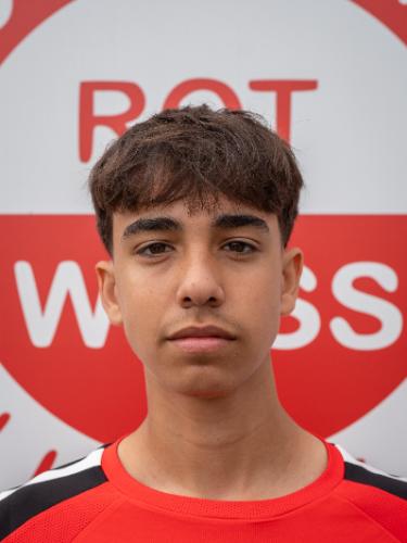 Lionel Vicente Molinari