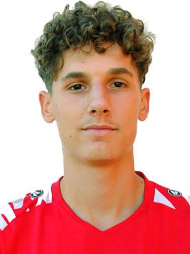 Dario Zastavnik