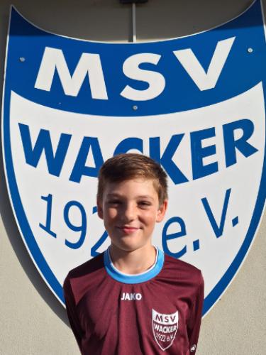 Ludwig Dieter Hartphiel