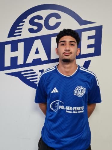 Mohamad Reza Shabani