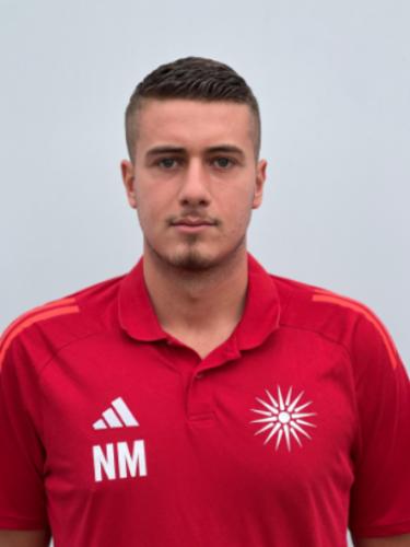 Nikola Martic
