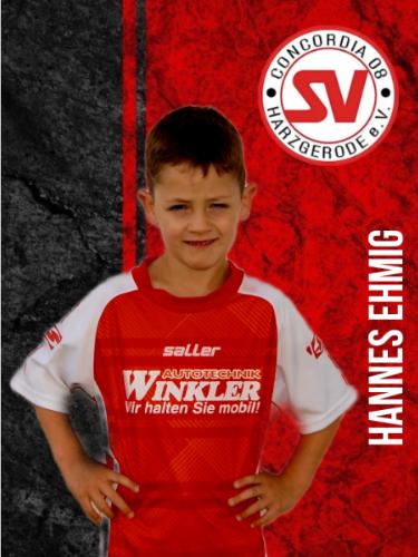 Hannes Ehmig