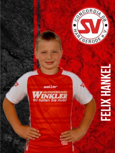 Felix Hankel