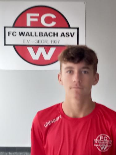 Henri Michael Fritsch