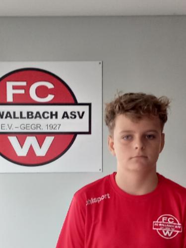 Fabian Wiesler
