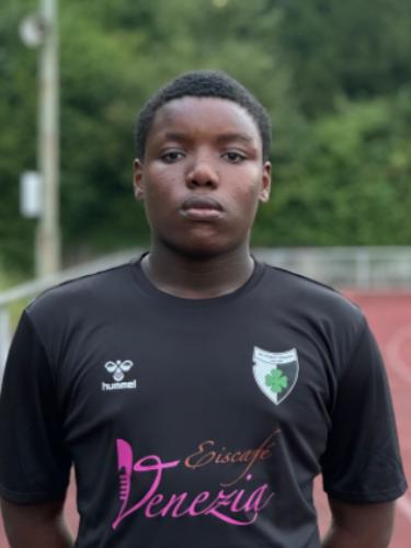 Chinedu Kingsley Nwankwor