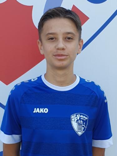 Amer Fejzic