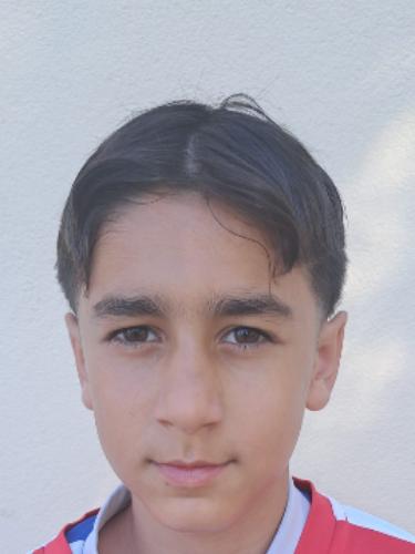 Berisa Ajdin